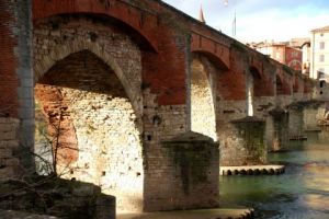 Voir le détail de cette oeuvre: Le Vieux Pont d'Albi